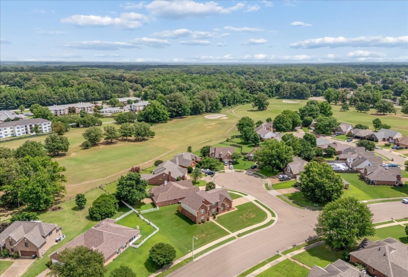 Residential neighborhood with mature trees, green lawns, and brick homes