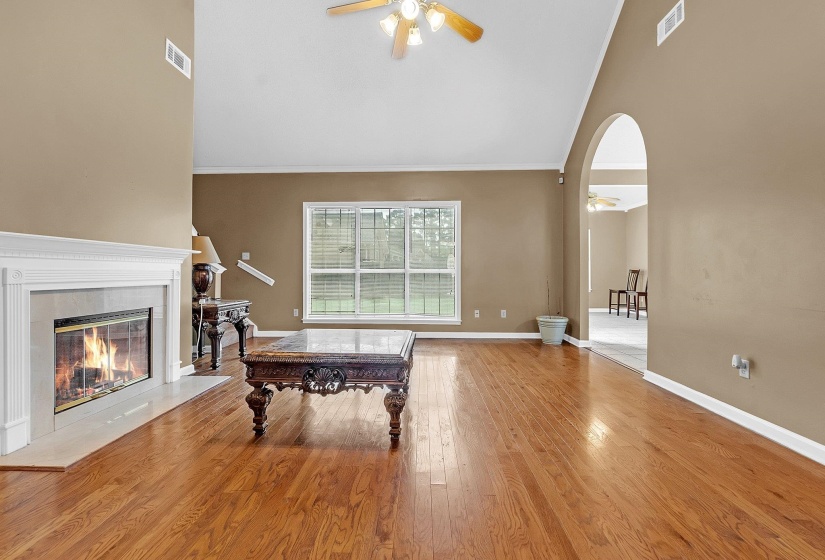 Living space featuring a vaulted ceiling, wood-finish flooring, a fireplace with a white mantel, and an arched doorway